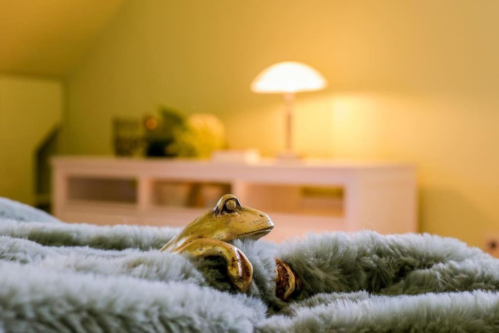 Charmante, Grosszuegige Ferienwohnung Villa Fleurie Bretten Exteriör bild
